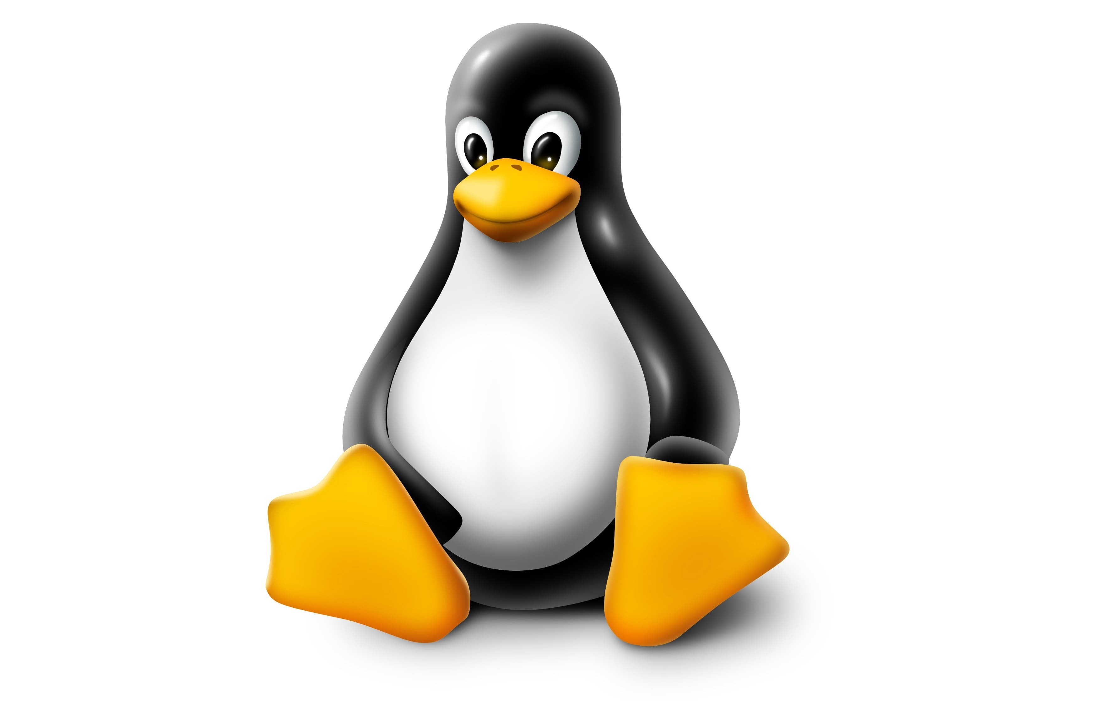 Linux programming language