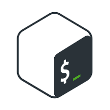 Bash programming language